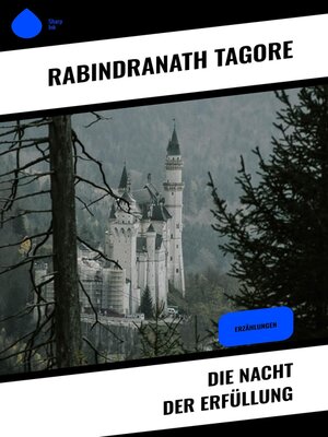 cover image of Die Nacht der Erfüllung